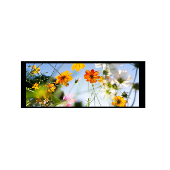 6,86 inch 480 × 1280 IPS TFT -module